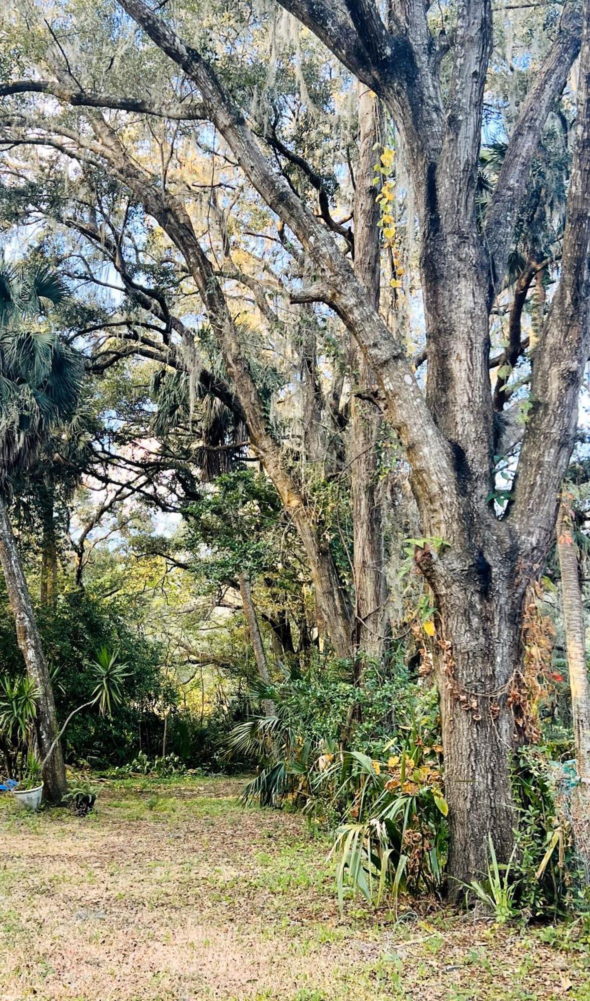 Country Welcome Micanopy Dış mekan fotoğraf