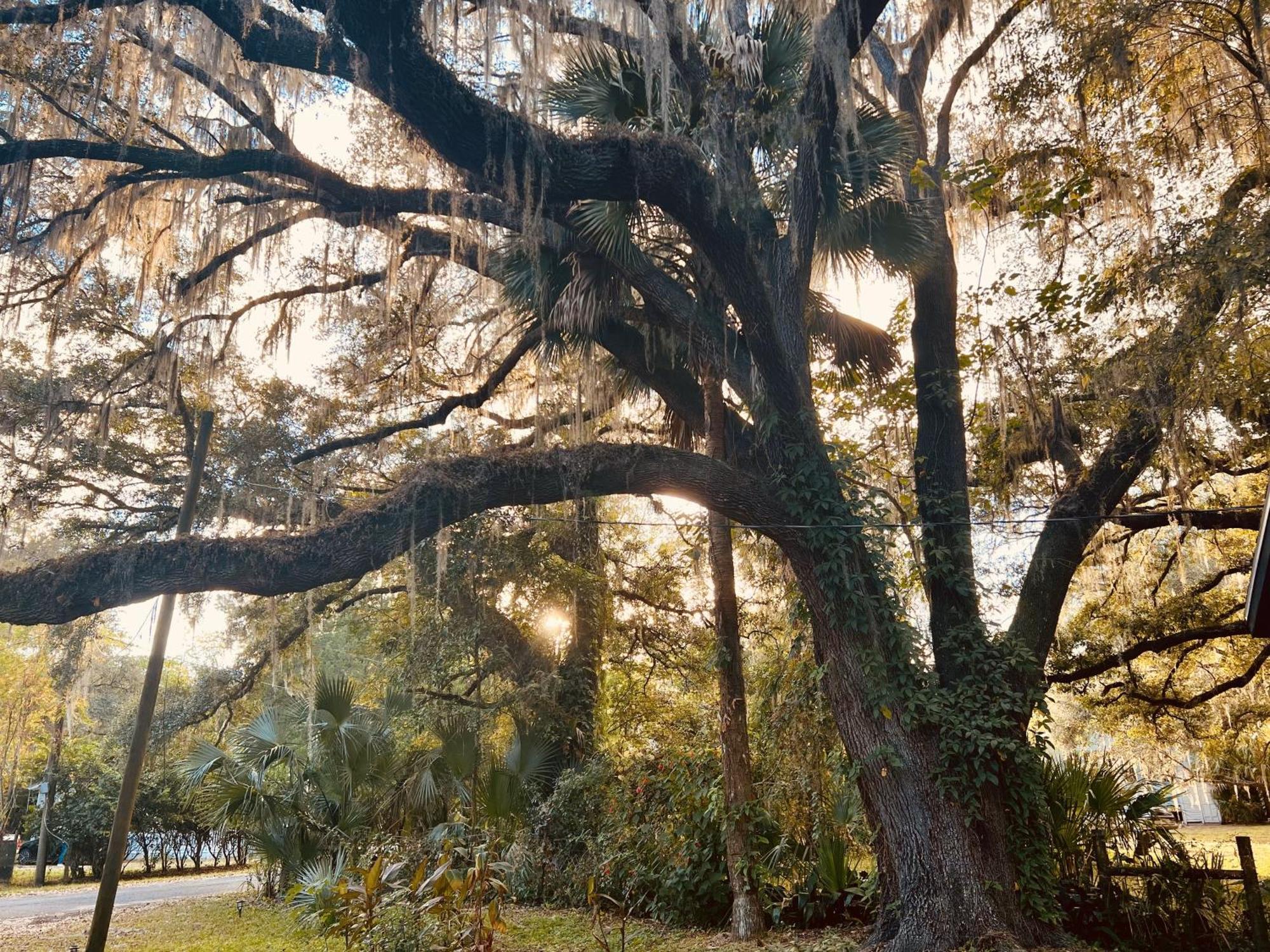 Country Welcome Villa Micanopy Dış mekan fotoğraf